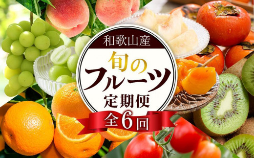 和歌山の旬の果実を 奇数月にお届け全6回定期便【TM49】 977552 - 和歌山県海南市