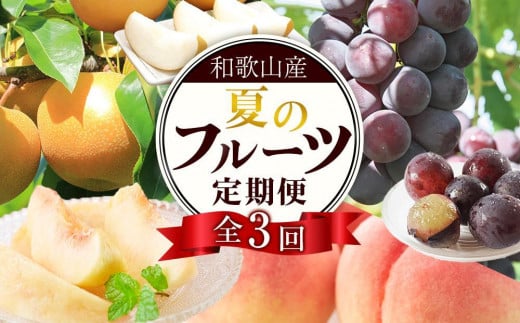 定期便全3回 【7月・8月・9月発送】 和歌山の夏のフルーツをお届け（桃・梨・たねなしピオーネ）【TM179】