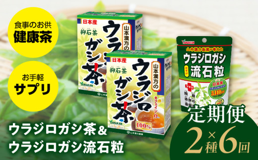 ＜6ヶ月連続定期便＞ウラジロガシ茶＆ウラジロガシ 流石粒