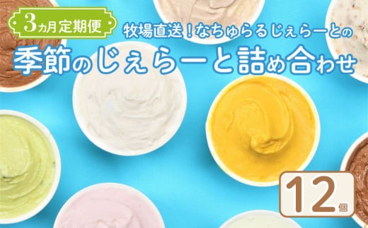 ジェラート 定期便 12個入 3回 ミルク チョコ ブルーベリー チーズ お茶 緑茶 紅茶 ほうじ茶 ラム レーズン ラムレーズン ピスタチオ 塩 キャラメル 塩キャラメル アイス ジェラート セット 季節 お茶 冨士美園 てづくり なちゅらるじぇらーと なかの牧場 12個 nakano012
