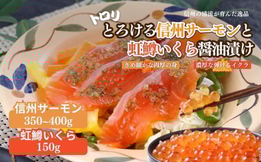 トロリとろける信州サーモン350g～400g（虹鱒×ブラウントラウト）と虹鱒イクラ醤油漬け150g 975852 - 長野県山ノ内町