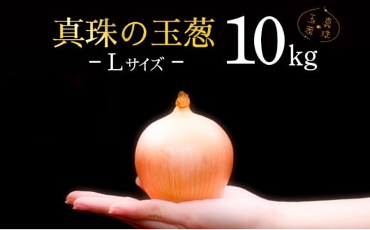 真珠の玉葱 Lサイズ10kg≪海のミネラルで育てた玉葱≫【50104】 982413 - 北海道岩見沢市