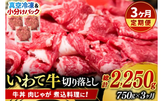 ＼3ヶ月連続 定期便／ 切り落とし 肉 牛肉 小分け 真空冷凍 いわて牛 750g (総計 2250g) 岩手県産 和牛 牛肉 黒毛 和牛 切り落とし肉 大容量 肉 すき焼き 肉じゃが 煮込み 煮物 赤身 国産牛 小分け 冷凍 数量限定 (AB104)