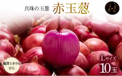 真珠の玉葱 赤玉葱Lサイズ10玉≪海のミネラルで育てた特別栽培玉葱≫【50107】 982416 - 北海道岩見沢市