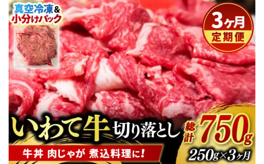 ＼3ヶ月連続 定期便／ 切り落とし 肉 牛肉 小分け 真空冷凍 いわて牛 250g (総計 750g) 岩手県産 和牛 牛肉 黒毛 和牛 切り落とし肉 大容量 肉 すき焼き 肉じゃが 煮込み 煮物 赤身 国産牛 小分け 冷凍 数量限定 (AB094)