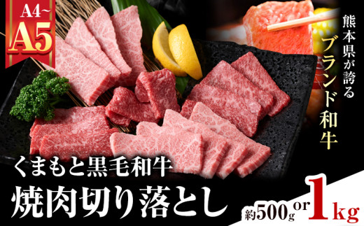 【A4～A5】くまもと黒毛和牛 焼肉切り落とし 選べる 内容量 約500g(500g×1p) 約1kg(500g×2p)《30日以内に出荷予定(土日祝除く)》熊本県 大津町 黒毛和牛 肉 お肉 和牛 牛 牛肉 A5 A4 焼肉 切り落とし MEAT PLUS