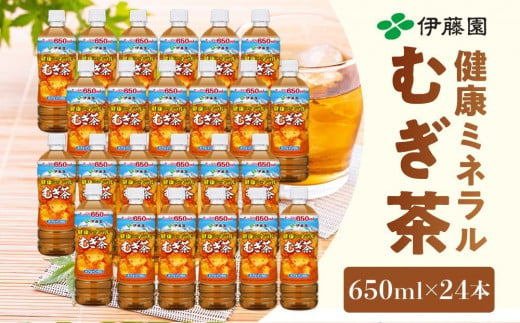 定期便 毎月 全3回 健康ミネラル麦茶 650ml×24本 １ケース 3ヶ月定期便 2017564 - 和歌山県海南市