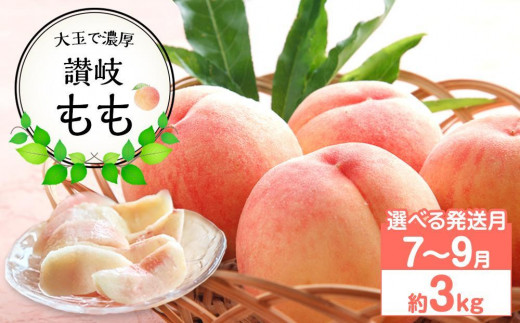 [先行予約][出荷時期が選べる]大玉で濃厚な讃岐もも 約3kg 7月〜9月出荷 品種おまかせ