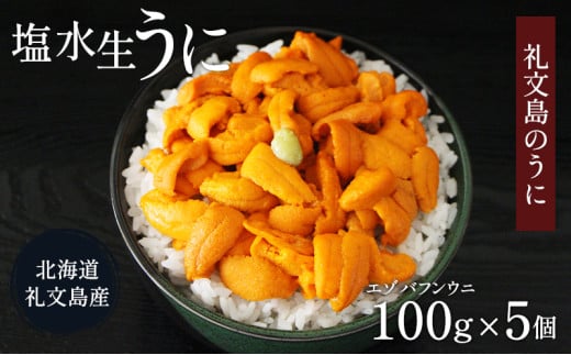 北海道 礼文島産  塩水ウニ （ エゾバフンウニ ）100g×5  生うに うに 雲丹  1266316 - 北海道礼文町