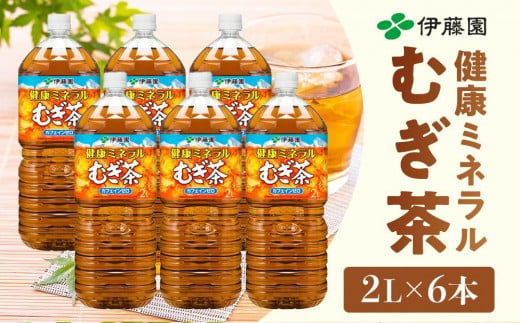 定期便 毎月 全6回 健康ミネラル麦茶 2L×6本 １ケース 6ヶ月定期便 2017568 - 和歌山県海南市