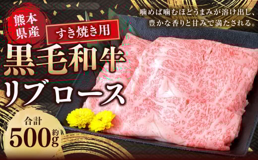 熊本県産 黒毛和牛 すき焼き用 リブロース 約500g 国産 熊本 和牛 牛肉 牛 ロース 肉 お肉 すき焼き 冷凍 1495857 - 熊本県水俣市
