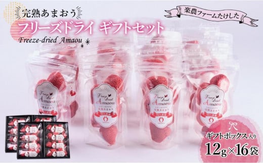 形も味もそのまま楽しめる！完熟あまおう【フリーズドライギフトセット】 (12g×16袋)【あまおう 食品 あまおう フルーツ あまおう 果物 苺くだもの いちご 食品 イチゴ 人気 あまおう おすすめ 送料無料 福岡県 大川市 AA045】 444137 - 福岡県大川市