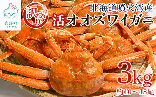 【訳あり】北海道産 活オオズワイガニ 3kg 約10～18尾 かに 蟹 ずわい蟹 2017724 - 北海道鹿部町