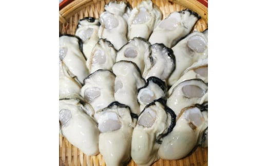 広島県産　宮島牡蠣セット1.5kg(殻付き牡蠣500g(4～5ヶ)1パックとむき身500ｇ2パック) 2017201 - 広島県廿日市市