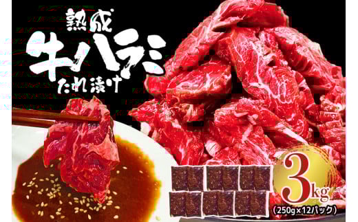 熟成牛ハラミ 3kg (250g×12パック) たれ 味付 小分け 冷凍 焼肉 焼き肉 牛 牛肉 ビーフ ハラミ BBQ 【そうざい男しゃく】【ho1470】