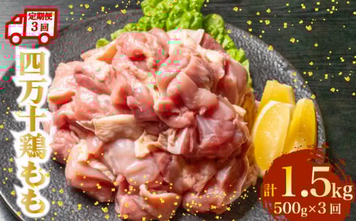 【定期便3回】銘柄鶏 四万十鶏 もも肉 計1.5kg（500g×3ヶ月連続お届け) 4Uコース | 切身 カット 時短 小分け カット済み 鳥肉 とりにく 鶏もも 冷凍 国産 ブランド 唐揚げ 煮物 鍋 チキン 南蛮 高知県 須崎市 TM101000 2089607 - 高知県須崎市