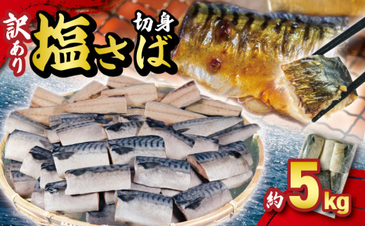 訳あり 塩サバ切身 約5kg ノルウェー産 冷凍 ｻﾊﾞ 鯖 塩サバ 塩鯖 鯖切身 鯖切り身 サバ切身 サバ切り身 切り身 切身 海鮮 魚 大容量 青魚 おかず 惣菜 魚介 おつまみ 弁当 人気 冷凍食品 グルメ 贈答 贈物 ギフト 長期保存 小分け お取り寄せ BBQ 送料無料 ふるさと納税 ふるさと納税サバ 千葉県 銚子市 大一奈村魚問屋 1703667 - 千葉県銚子市
