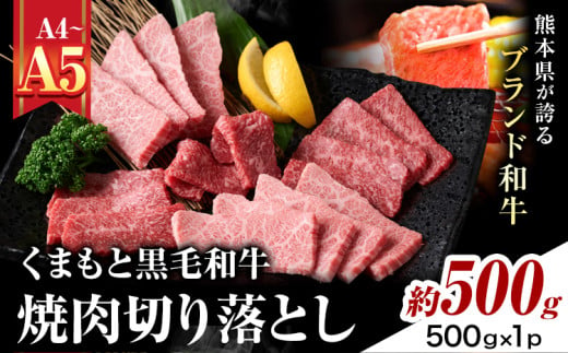 【A4～A5】くまもと黒毛和牛 焼肉切り落とし  約500g(500g×1p) 《30日以内に出荷予定(土日祝除く)》熊本県 大津町 黒毛和牛 肉 お肉 和牛 牛 牛肉 A5 A4 焼肉 切り落とし MEAT PLUS