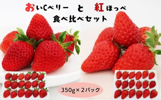 おいCベリーと紅ほっぺの食べ比べセット【約350g×2パック 苺 冷蔵 安来】 2020952 - 島根県安来市