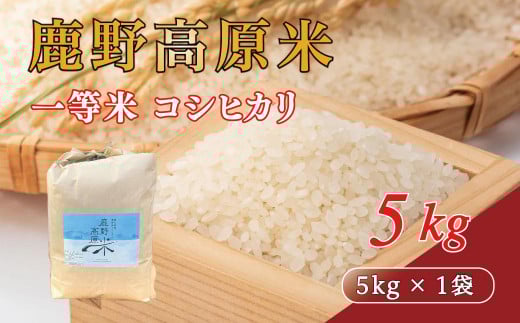 【先行予約】鹿野高原米 コシヒカリ 5 kg 令和7年産 精米 1502556 - 山口県周南市