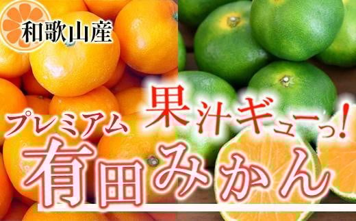 プレミアム 有田みかん10kg+250g（傷み補償分）［2025年10月上旬から2026年1月下旬頃順次発送予定］［IKE249］