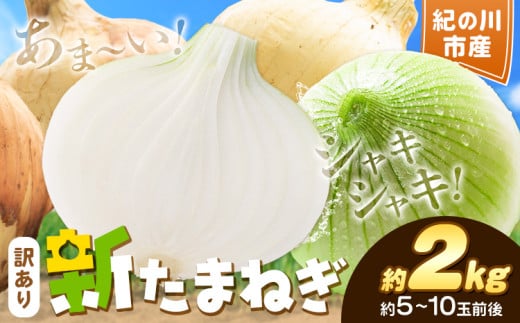 訳あり たまねぎ 新たまねぎ 新 玉ねぎ 紀の川市産 約2kg 不選別[5月下旬-7月中旬頃出荷]和歌山県 紀の川市 送料無料 野菜 玉葱 新玉ねぎ 新たま 旬 お取り寄せ 訳あり野菜 訳あり玉ねぎ 訳あり 玉ねぎ