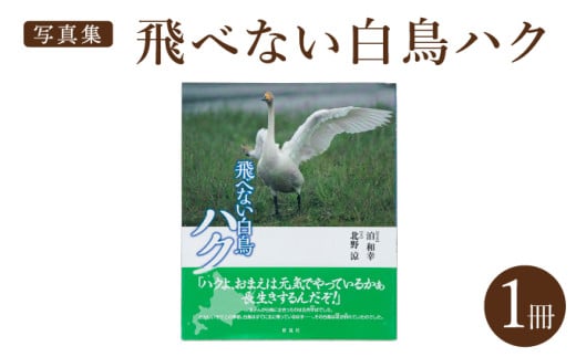 【泊和幸】飛べない白鳥ハク　彩流社