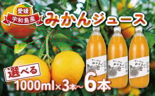 みかんジュース 選べる 容量 1,000ml× 3本 ~ 6本 清家 100％ジュース ストレートジュース ストレート 柑橘 みかん 温州みかん ジュース mikan ミカン 爽やか 愛媛ミカン 甘い 温州 愛媛みかん 愛媛県産 果汁 飲料 果物 くだもの フルーツ 国産 愛媛 宇和島 H012-170001~002