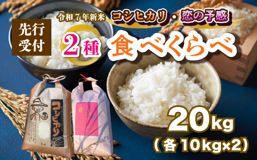 【先行受付】令和7年新米 お米2種食べ比べ 恋の予感10kg コシヒカリ10kg 2025年10月上旬～発送 白米 お米 米 精米 ごはん ご飯 広島県 三原市 187009 1957099 - 広島県三原市