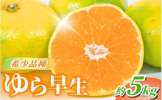 【2025年秋頃発送予約分】＼農家直送／甘くて濃厚！希少品種 ご家庭用 ゆら早生みかん　約5kg　サイズ混合　※2025年10月中旬で申込締切　※2025年10月上旬より順次発送予定（お届け日指定不可） / みかん ミカン 有田みかん 温州みかん 柑橘 有田 和歌山 産地直送  くだもの 果物 フルーツ 柑橘類 和歌山 すさみ町【nuk109C】