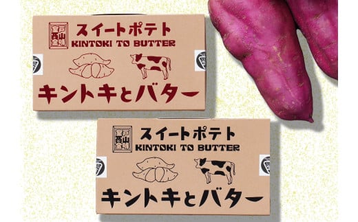 スイートポテト　キントキとバター（プレーン＆アソートBOX）