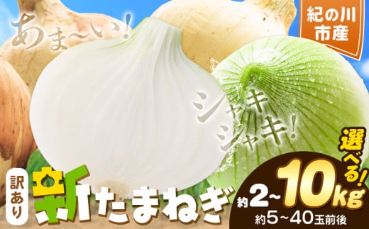 訳あり たまねぎ 新たまねぎ 新 玉ねぎ 紀の川市産 選べる内容量 約2kg 約5kg 約10kg お試し 大容量 不選別[5月下旬-7月中旬頃出荷]和歌山県 紀の川市 送料無料 野菜 玉葱 新玉ねぎ 新たま 旬 お取り寄せ 訳あり野菜 訳あり玉ねぎ 訳あり 玉ねぎ