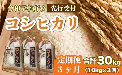 【先行受付】令和7年新米《３か月定期便》コシヒカリ 白米10kg（5kg×2袋）2025年8月下旬～発送 お米 米 精米 ごはん ご飯 広島県 三原市 187007 1957103 - 広島県三原市