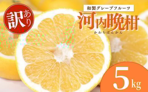 木成り 追熟 訳あり 河内晩柑 5kg 柑橘 フルーツ 果物 蜜柑 みかん くだもの mikan 家庭用 傷 不揃い  サイズミックス かわち ばんかん かんきつ 和製 グレープフルーツ デザート 果実 果汁 甘い ジューシー おいしい 特産品 国産 農園 直送 産地 直送 エニシトラス 愛媛県 愛南町 