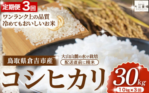 期間限定 倉吉市産 コシヒカリ 定期便 10kg×3回 【大江農場】 令和6年産米 精米 お米 米 こめ コメ 白米 こしひかり コシヒカリ ブランド米 定期便 2017755 - 鳥取県倉吉市