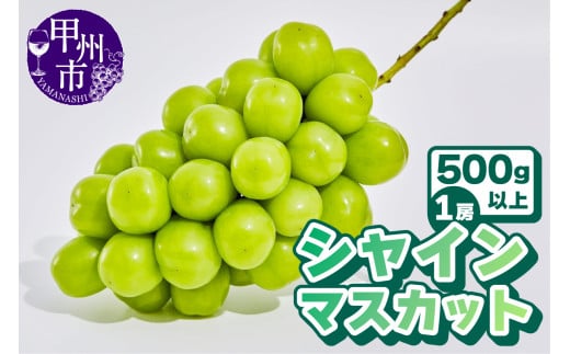 【農林水産大臣賞受賞!!】山梨のシャインマスカット1房500g以上【2025年発送】（AGB）A07-875 【シャインマスカット 葡萄 ぶどう ブドウ 令和7年発送 期間限定 山梨県産 甲州市 フルーツ 果物】 2017687 - 山梨県甲州市