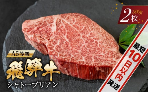 [期間限定] [A5等級] 飛騨牛 シャトーブリアンステーキ 2枚 |牛肉 肉 和牛 国産牛肉 肉 牛肉ステーキ 牛肉ヒレ 牛肉ヒレステーキ 高級牛肉 牛肉希少部位 冷凍牛肉 日付指定可 発送時期が選べる 岐阜 本巣市 トキノ屋 食品