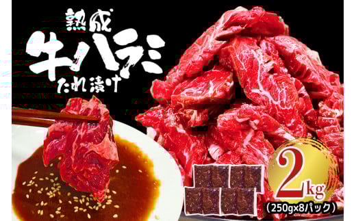 熟成牛ハラミ 2kg (250g×8パック) たれ 味付 小分け 冷凍 焼肉 焼き肉 牛 牛肉 ビーフ ハラミ BBQ 【そうざい男しゃく】【ho1469】