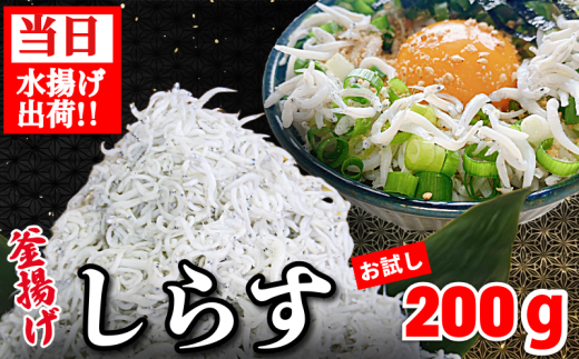 しらす 釜揚げ 200g 先行予約 2025年5月発送 ちりめんじゃこ じゃこ しらす ちりめん 小魚 魚 海鮮 魚介類 魚貝 シーフード いわし 鰯 おかず おつまみ 惣菜 弁当 ご飯 のお供 ごはん 酒の肴 のお供 小分け 冷蔵 新鮮 海鮮 お取り寄せ グルメ ギフト プレゼント 贈答 人気 おすすめ 徳島県 小松島市 和田島産 2022709 - 徳島県小松島市