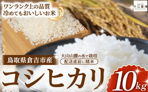 倉吉市産 コシヒカリ 10kg（5kg×2袋）【大江農場】 令和6年産米 精米 お米 米 こめ コメ 白米 こしひかり コシヒカリ ブランド米 2017745 - 鳥取県倉吉市