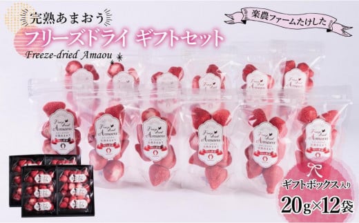 形も味もそのまま楽しめる！完熟あまおう【フリーズドライギフトセット】 (20g×12袋)【あまおう 食品 あまおう フルーツ あまおう 果物 苺くだもの いちご 食品 イチゴ 人気 あまおう おすすめ 送料無料 福岡県 大川市 AA048】 444140 - 福岡県大川市