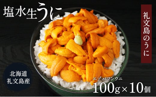 北海道 礼文島産  塩水ウニ （ エゾバフンウニ ）100g×10  生うに うに 雲丹  1266317 - 北海道礼文町