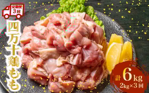【定期便3回】銘柄鶏 四万十鶏 もも肉 計6kg（2kg×3ヶ月連続お届け) 5Dコース | 切身 カット 時短 小分け カット済み 鳥肉 とりにく 鶏もも 冷凍 国産 ブランド 唐揚げ 煮物 鍋 チキン 南蛮 高知県 須崎市 TM110000 2089616 - 高知県須崎市