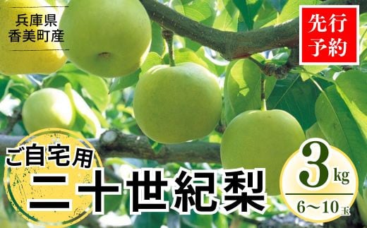 [先行予約][梨 20世紀梨 香住梨 3kg ご自宅用 優品(Bランク)L〜5Lサイズ混合6〜10玉]大人気 ふるさと納税 おすすめ 返礼品 ランキング 二十世紀梨 シャキシャキの食感 ほどよい甘さとみずみずしさ 日本海に面する梨の本場 香美町で育つ香住梨 一つひとつの糖度を計測 兵庫県 香住 フルーツ ナシ 贈答品 ギフト 青梨 和梨 国産 たじまんま JAたじま 10000円 76-03