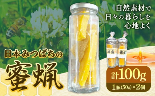 日本みつばちの蜜蝋 50g×2個 計100g 美馬工房 《30日以内に出荷予定(土日祝除く)》 自然採取 2瓶 国産 蜜蝋 天然 ワックス ハンドメイド ハンドクリーム リップクリーム アロマワックスバー 蜜蝋ラップ キャンドル 徳島県 美馬市 st-p