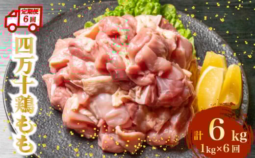 【定期便6回】銘柄鶏 四万十鶏 もも肉 計6kg（1kg×6ヶ月連続お届け) 4Yコース | 切身 カット 時短 小分け カット済み 鳥肉 とりにく 鶏もも 冷凍 国産 ブランド 唐揚げ 煮物 鍋 チキン 南蛮 高知県 須崎市 TM105000 2089611 - 高知県須崎市