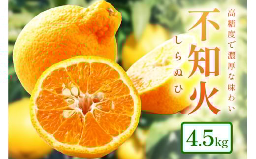 和歌山産 しらぬひ【デコポン】約4.5kg 濃厚春みかん≪2025年2月下旬頃より順次発送分≫