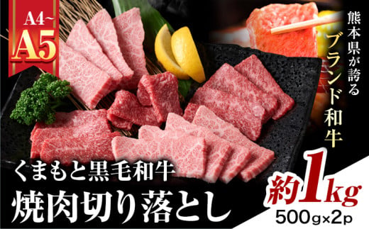 【A4～A5】くまもと黒毛和牛 焼肉切り落とし  約1kg(500g×2p)《30日以内に出荷予定(土日祝除く)》熊本県 大津町 黒毛和牛 肉 お肉 和牛 牛 牛肉 A5 A4 焼肉 切り落とし MEAT PLUS