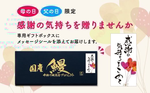茨城県境町のふるさと納税 【母の日までにお届け(5月7日～9日発送)】 国産うなぎ蒲焼き2尾 350g以上 たれ 山椒付き 母の日 贈答用 ギフト 感謝の気持ちを込めて 先行予約 数量限定 プレゼント 贈り物 【Mother's Day!】 K2185