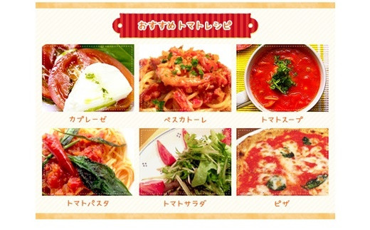 ＜早期予約・数量限定＞北海道ニセコ町 贅沢トマト4kg【2025年産】